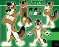 Character Reference Sheet - Aston the Swift Fox