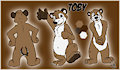 Character Reference Sheet - Toby Bear!