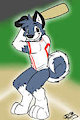 Mac the husky is the next batter up!