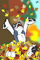 Mac the husky enjoying the best part of fall!