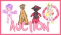 Character auctions