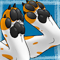Saelac Paws by Scorpianx0
