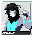 Badge Armor Star