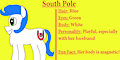 My OC Pony South Pole Bio