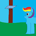 Rainbow Dash and the Solar Panel