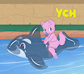 Pooltoy - Open YCH