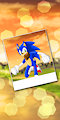Sonic - Photograph