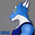 It's me, Zeal.