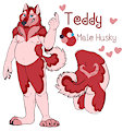 Teddy Husky by honeypup