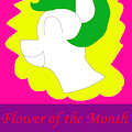 MLP Yu-Gi-Oh Card Art Flower of the Month