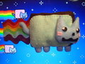 Custum Nyan Cat 1 by IxLovexEwexPlushies