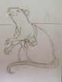 Rattie by Merebear