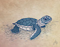 Baby Turtle by Merebear