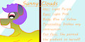 My OC Pony Sunny Clouds