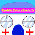 Pudgyville's Pudgy Peril Hospital