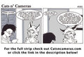 Cats n Cameras Strip 101 - Thinking on it