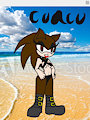 Sonic OC- coacoa  by SmallUke