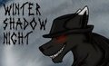 New Submission by wintershadownight