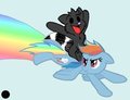 Rainbow Dash and Little Cookie by OreoClarity