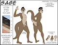 Sage - Character Ref (PG) by psydraggy