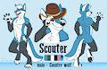 Scouter Reference by WinterSnoWolf
