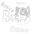 Boxice by T-Ryo
