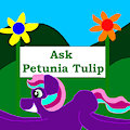 Ask Petunia Tulip