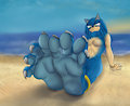  Sonic Feet by RobinTheFox
