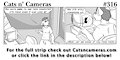 Cats n Cameras Strip #316 - Never turn around