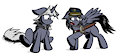 Strongly Shaded Ponies