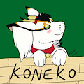 Koneko on the wall 