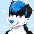 Artic by "Sapphynhoa in FA" for Bluxer