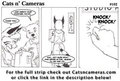 Cats n Cameras Strip 102 - What has been seen can not be unseen!!