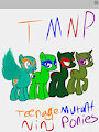 Tmnp (Teenage mutant ninja ponies)