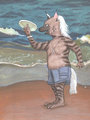 Portrait Of A Hyena Beach Bum