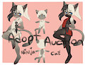 Adopt Auction:Sold!