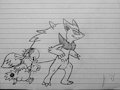 Pokemon Drawings - Zoroark