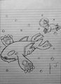 Pokemon Drawings - Kyogre