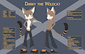 Character Sheet: Darky the Wildcat