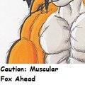 Muscle Detail Practice