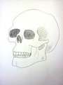 Inktober Day 1: My Skull