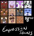 Expression Icon special!