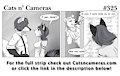 Cats n Cameras Strip #325 - That was odd
