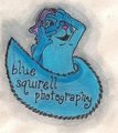 Blue Squirell Photography