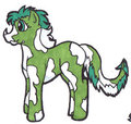 Unnamed Dragon Pony