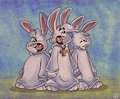 Bunny Choir