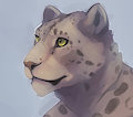 Snow Leopard, random guy :D by Dodu