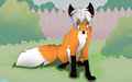 Karuo the Fox