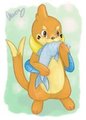 Buizel