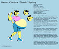Check Spring